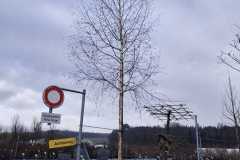 WhatsApp-Image-2026-02-12-at-19.27.06