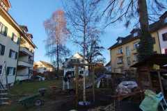 WhatsApp-Image-2026-02-26-at-22.05.37