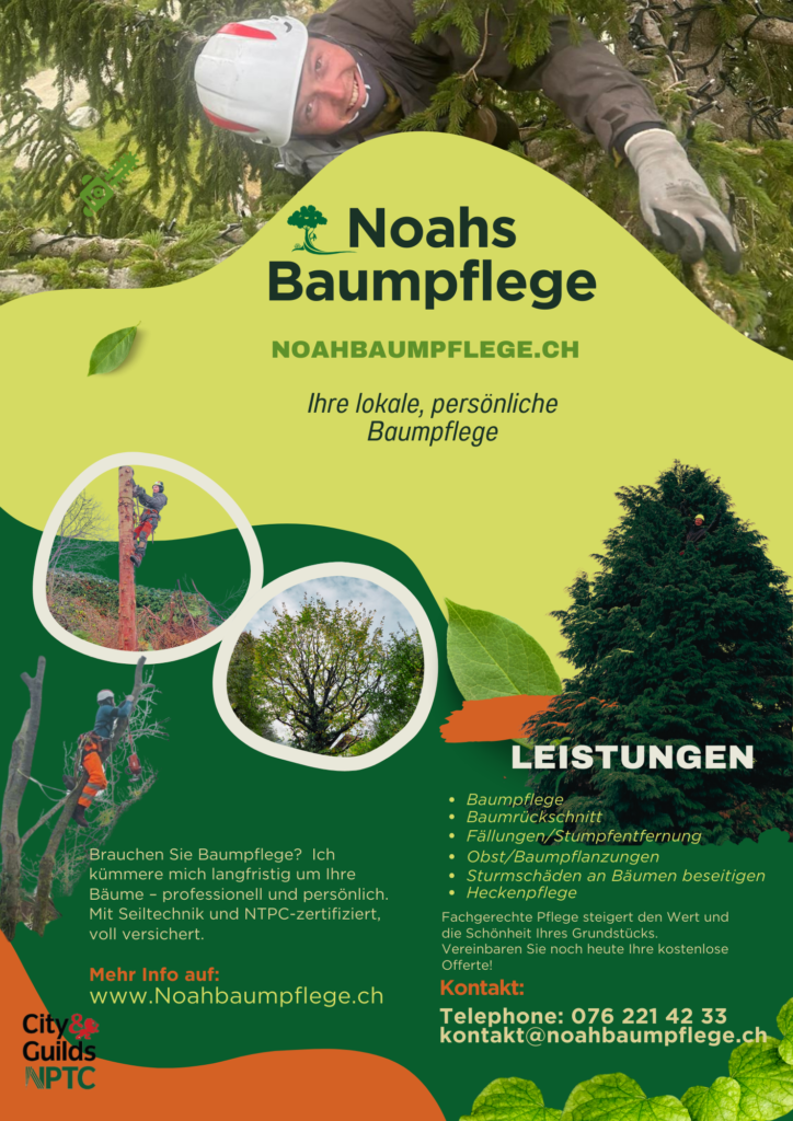 Noah Baumpflege Leistungen Werbung auf Information Seite.