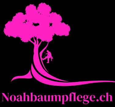 Baumpflge Bern