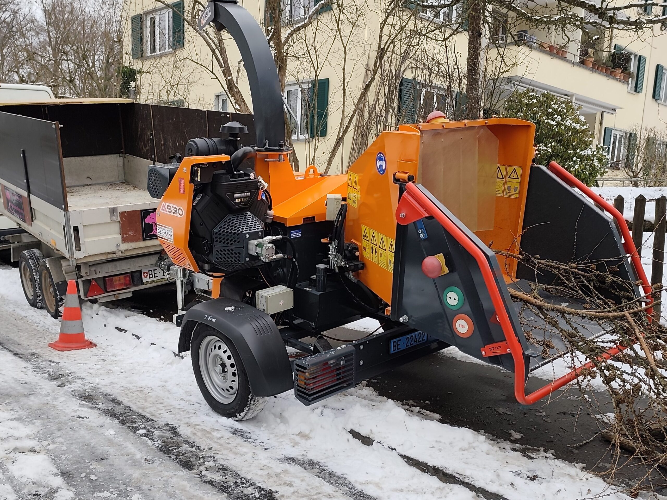 Baumpflege holtzhacker in Bern