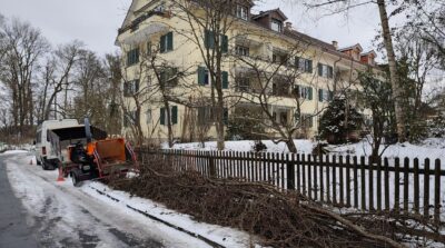 Äste häckseln in Bern