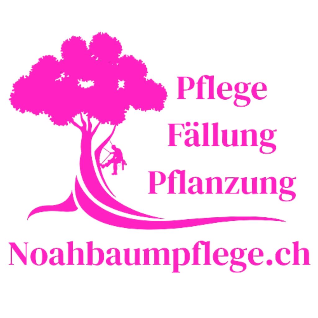 Baumpflege Pflanzung Pflege Fällung in Bern